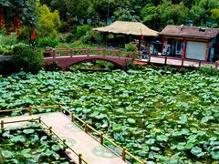 -广州莲花山旅游区