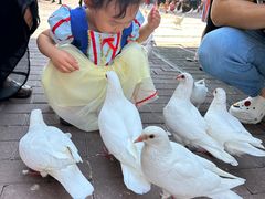 -王府井奥莱临潼小镇(临潼店)