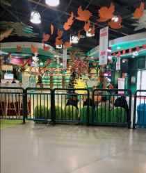 -维佳童话镇演出现场(徐东店)