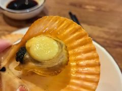 -土蚝·高压锅生蚝(百姓美食街店)