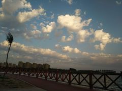 -丁香湖公园
