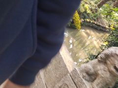 -汇龙潭