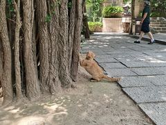 -青岛崂山太清宫