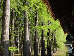 -采石矶景区