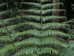 -赤水丹霞旅游区·佛光岩