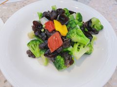 -大树餐厅(益田假日店)