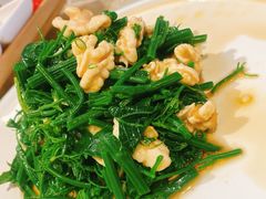 凉拌丝瓜尖-永乐饭庄(安德路店)