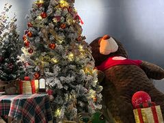 -咖法森林·咖啡  酒吧(天河店)