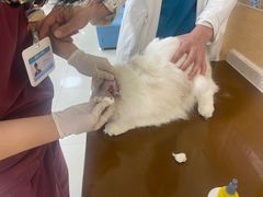 -美联众合动物医院·24h京西诊疗中心