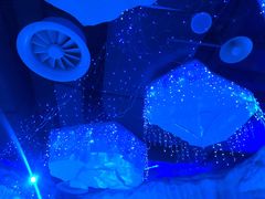 -芜湖新华联大白鲸海洋公园