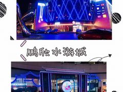 -鹏欣水游城