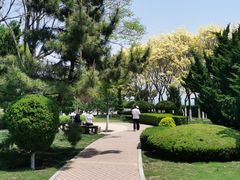 -黑石礁公园