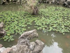 -伯先公园