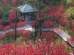 -桃花涧