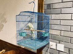-樊三嬢手工甜水面(大邑安仁店)