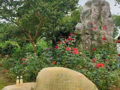 -鹅湖玫瑰文化园