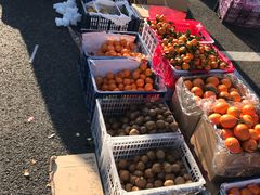 -北京清河镇农副产品交易市场中心