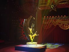 -珠海横琴长隆《卡卡虎奇遇记》