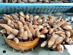 -南沙十九涌渔人码头-南门