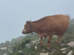 -灵山