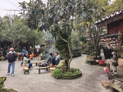 -青城甲(青城山店)