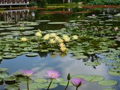 -国家植物园南园