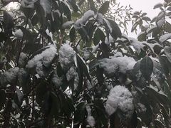 -观唐（国际）度假村温泉