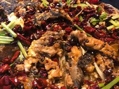 -老板恋上鱼(高新万达店)
