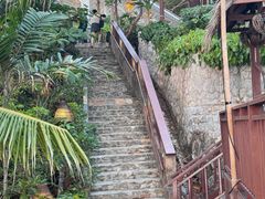 -卷心菜和避孕套餐厅(Pattaya)