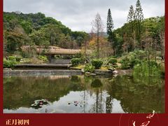 -云溪植物园