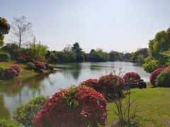 -桃花岛景观公园