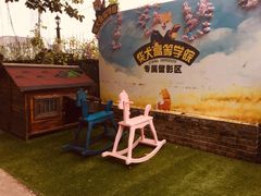 景观位-柴犬高等学院·狗咖·柴犬售卖·宠物训练