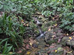 -广州市白云山风景名胜区