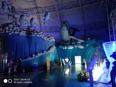 -烟台海昌鲸鲨海洋公园