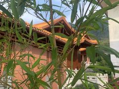 -深圳仙湖植物园