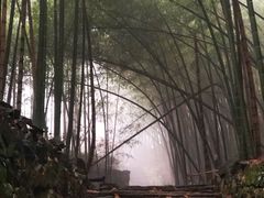 -会稽山峡洞漂流-上青古道