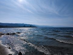 -月亮湾湿地公园