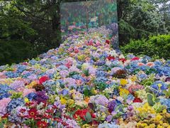 -上海共青森林公园