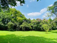 -中国科学院西双版纳热带植物园