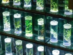 -广东中医药博物馆