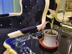 -宝燕海鲜(好爱店)