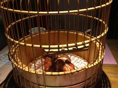 -胡桃里音乐酒馆(环亚凯瑟琳广场店)