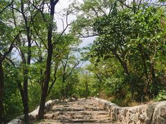 -阳台山自然风景区