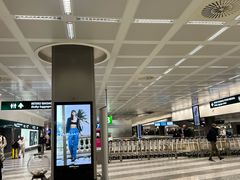 -米兰马尔彭萨国际机场