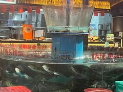 -魏铭鱼头捞饭(晋阳路店)