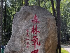 -洛阳白云山景区