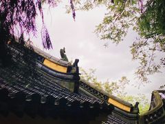 -观音山