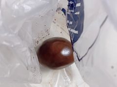 -中山大厦熟食外卖(珠江路店)