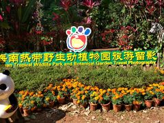 -海南热带野生动植物园