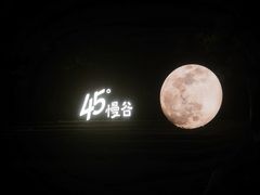 -无锡梅园公园